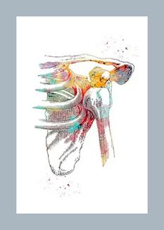 Sąnarių ir raumenų audinių mikrocirkuliacijos gerinimas